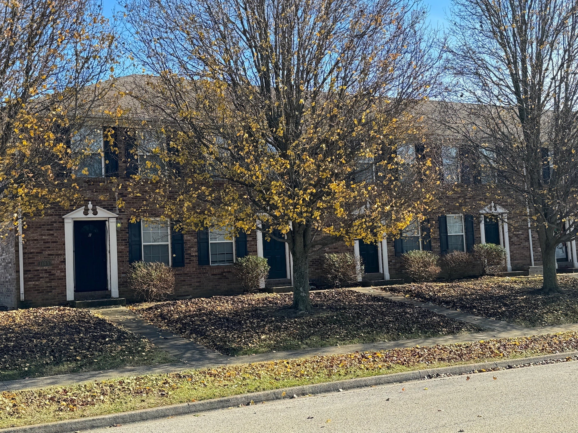 a house with a tree in front of it